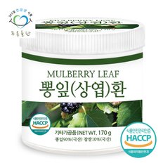 국내산 뽕잎환  haccp 인증 휴대용환통 사은품 170gx1통 뽕나무잎 상엽 환