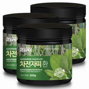 차전자피환 300g x 3