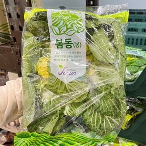 트레이더스 봄동 1봉