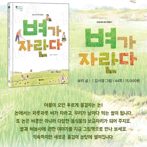 이미지4