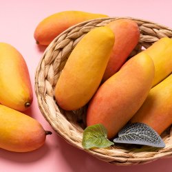 [SSG] 마하차녹 무지개망고 특대과 4kg 8-12과 (23,052원/무료)