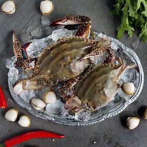 산지직송 서해안 신선 급냉 숫꽃게 1kg(kg당 3~5미내외)