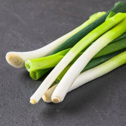 깐대파 (봉) - SSG.COM