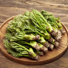 산해직송 국산 제철 봄나물 (국내산 참두릅 500g)