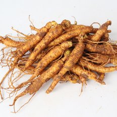 금산 황금농장 삼계탕/갈비탕용 인삼(잔뿌리) 750g