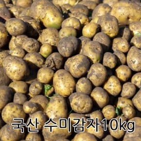 국산 수미감자 10kg 포슬포슬 국내산 맛 좋은 꿀감자 햇감자 제철 감자요리