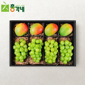 [총각네] 프리미엄 애플망고 샤인머스캣 혼합과일 선물세트 2호 4.5kg