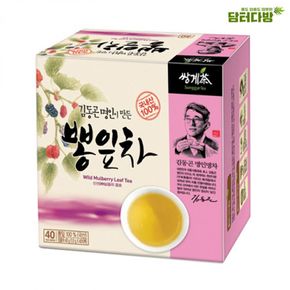 사무실간식 쌍계 김동곤명인 뽕잎차  40티백 X ( 2매입 )