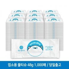 업소용 식당용 배달용 1매용 닥터크린 물티슈 48g 1000매