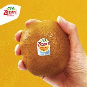 썬 골드키위 슈퍼점보과 1.7kg (11입,개당 155g내외)