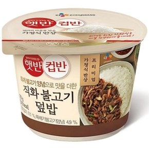 지금의 맛 직화불고기덮밥 257g (WC7EE88)