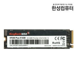 한성컴퓨터 KingBank KP200 Plus M.2 NVMe 512GB SSD