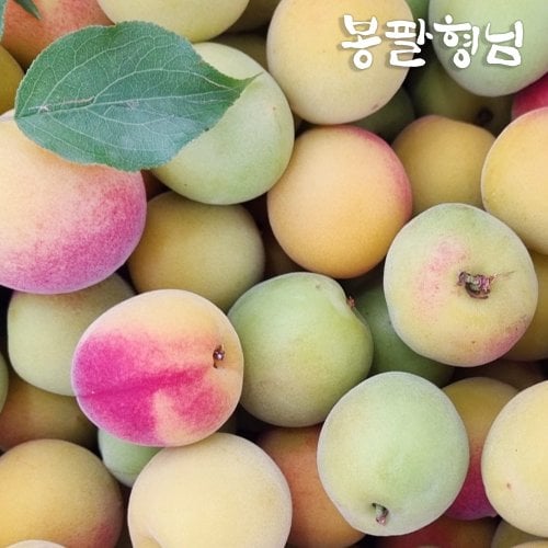 대표이미지