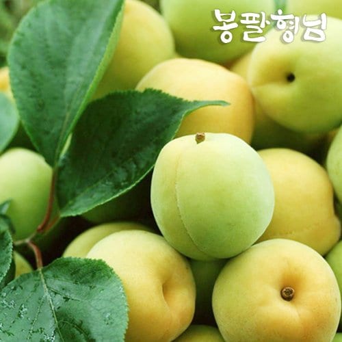 추가1이미지