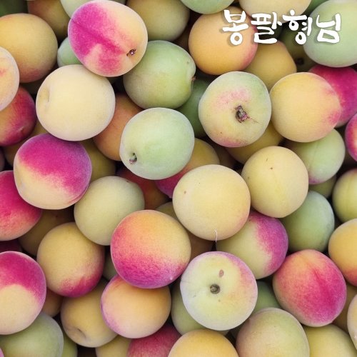 추가2이미지