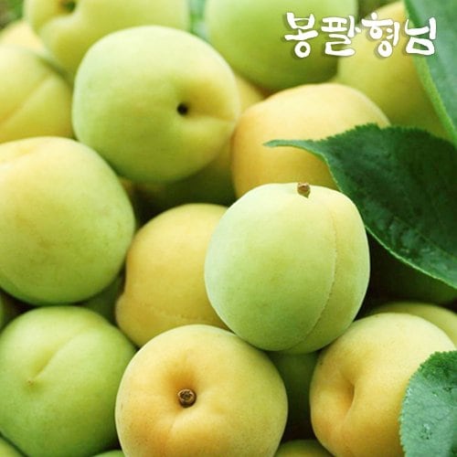 추가3이미지