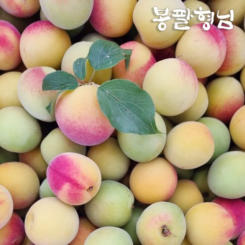추가4이미지