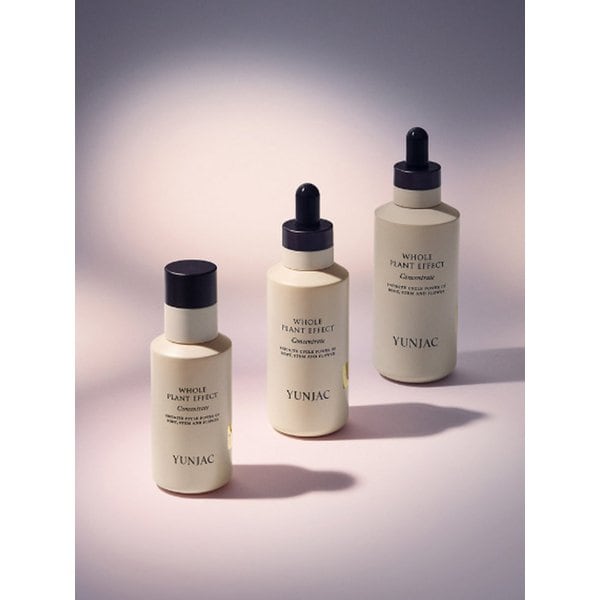 전초 컨센트레이트 120ml