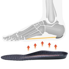 베이직/ 기능성 인솔 아킬레스건보호 평발 아치 바른 자세교정 운동화 메모리폼 쿠션 신발깔창