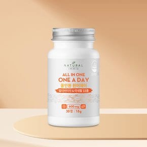 올인원 원어데이 멀티비타민 & 미네랄 15종 600mg 1개월분 (30캡슐 x 1병)