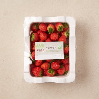 자연주의 무농약 딸기 750g