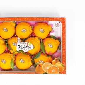 제주 한라봉 선물용 2.5kg 중과 (10~16과 내외) (WDE0229)