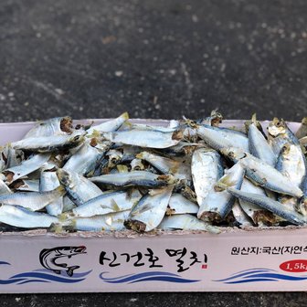  실속형 국산 디포리 1.5kg 무료배송 국물멸치 건디포리