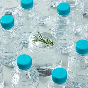 마이워터 300ml X 30입 (무라벨)