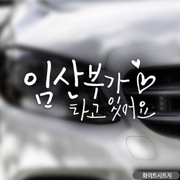 확대된 대표 이미지1