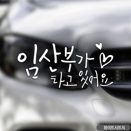 이미지1
