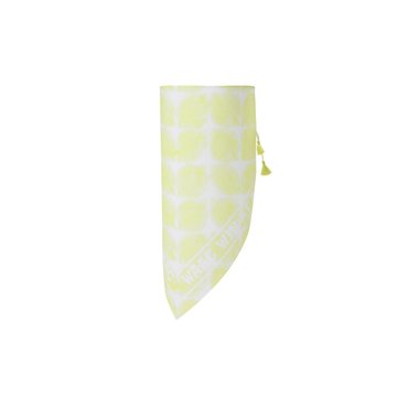 왁 Women Patterned Triangle Scarf_WGGJX24370YEX