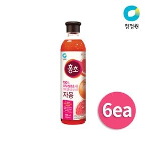 홍초 자몽 900ml x 6