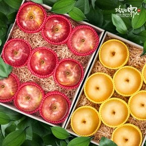[9/21(월) 오전 9시결제건까지 명절전배송]청송사과+나주배 세트 (사과3.5kg 9과+배5kg 8과)