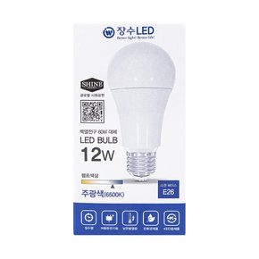 LED 전구 12W 주광색