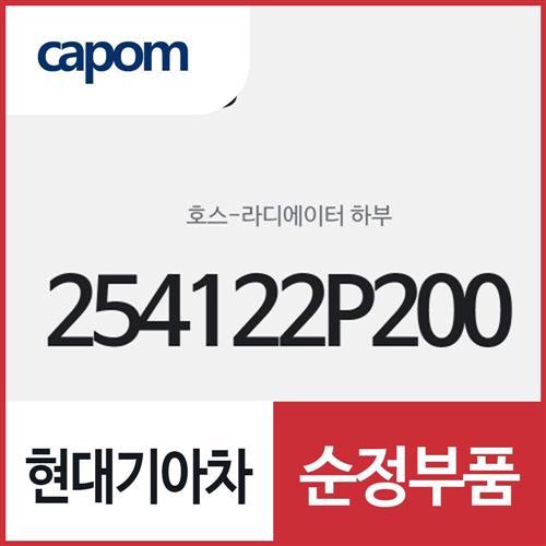 라디에이터 호스,하부 (254122P200) 쏘렌토