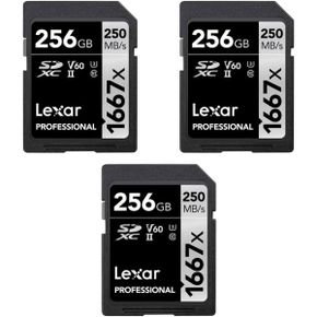 미국 렉사 sd카드 Lexar LSD256CBNA1667 Professional SDHC/SDXC 1667x UHSII 256GB Memory Card