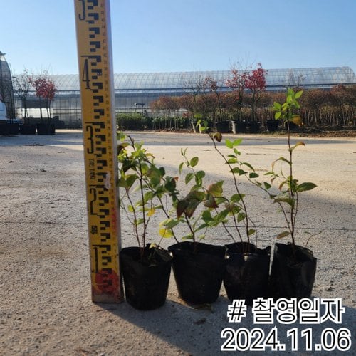 추가이미지