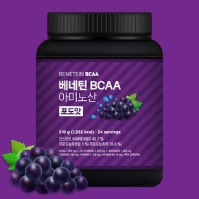 BCAA 필수 아미노산 보충제 포도맛 510g