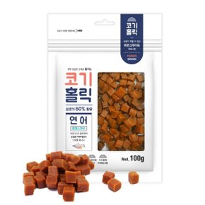 [코기홀릭] 연어100g