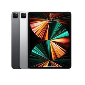 애플 iPad Pro5 12.9 WiFi 128GB 그레이 사은품증정