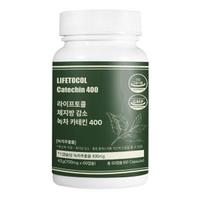 체지방 감소 녹차 카테킨 400 60캡슐 다이어트 보조제 추출물 EGCG