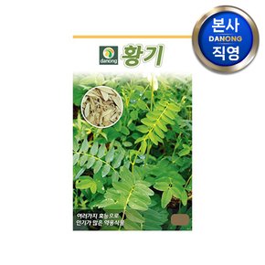 황기 씨앗 300g , 야채 채소 텃밭 파종 재배 주말 농장 씨 종자,