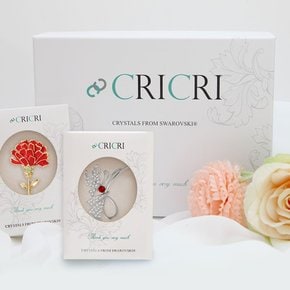 [메리그린] CRICRI 스와로브스키 크리스탈 제작 브로치 2종 패키지 SET