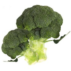 햇살조은 국내산 제주 햇 브로콜리 1.5kg~8kg
