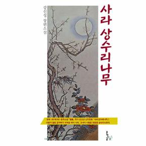 사라 상수리나무   나무소설가선 34_P342948521