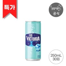 더 빅토리아 탄산 플레인 250ml 30캔