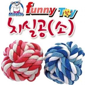 치실 공 1p(소/색상 임의배송)