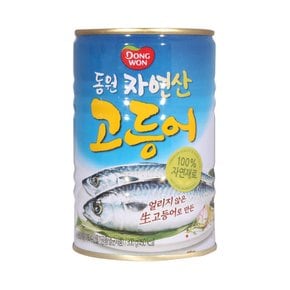 동원 고등어 통조림 300g x 24캔 / 반찬통조림