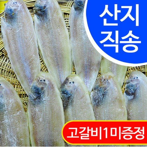 상품 이미지1