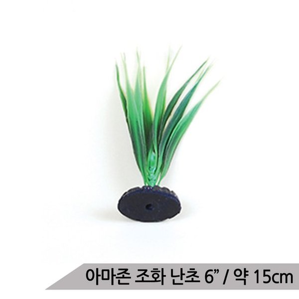 확대된 대표 대표이미지
